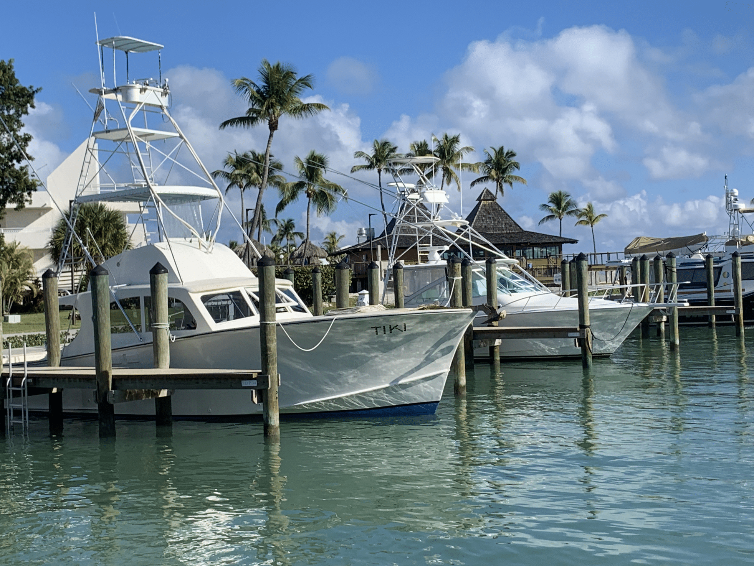 Caloosa Cove Marina - Islamorada, Florida Keys